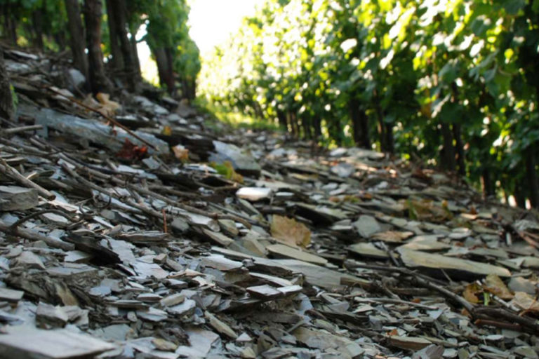 Weingut Clemens Busch Schieferlage