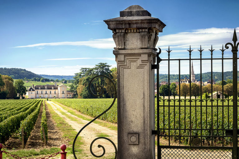 Wine Hunter - Burgund