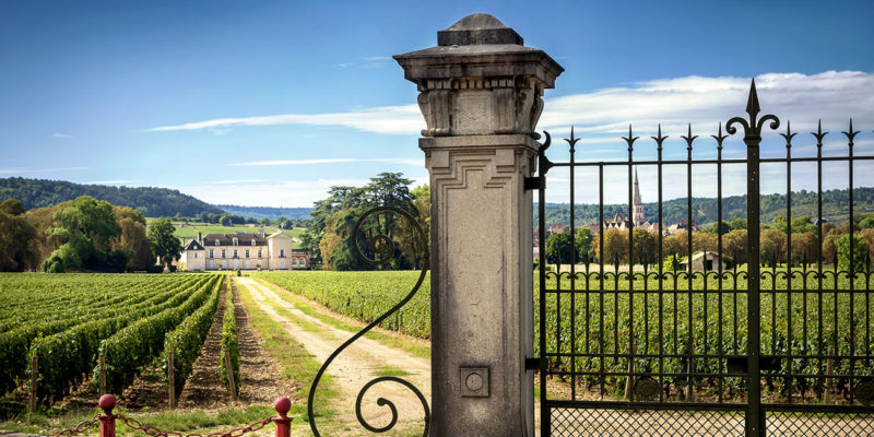 Wine Hunter - Burgund