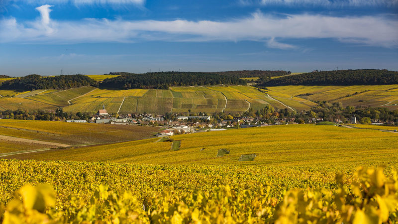 Wine Hunter – Frankreich Burgund Chablis