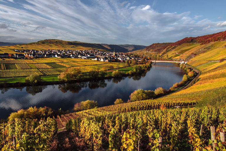Wine Hunter - Weinregion Deutschland