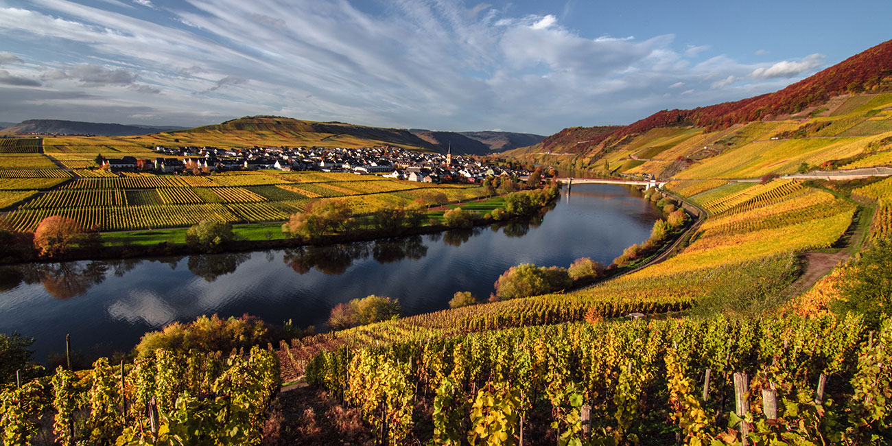 Wine Hunter - Weinregion Deutschland