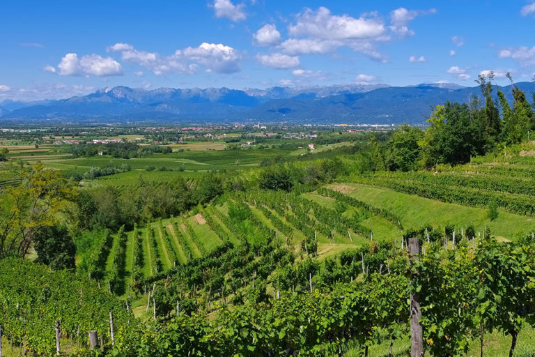 Wine Hunter - Weinregion Italien Friaul