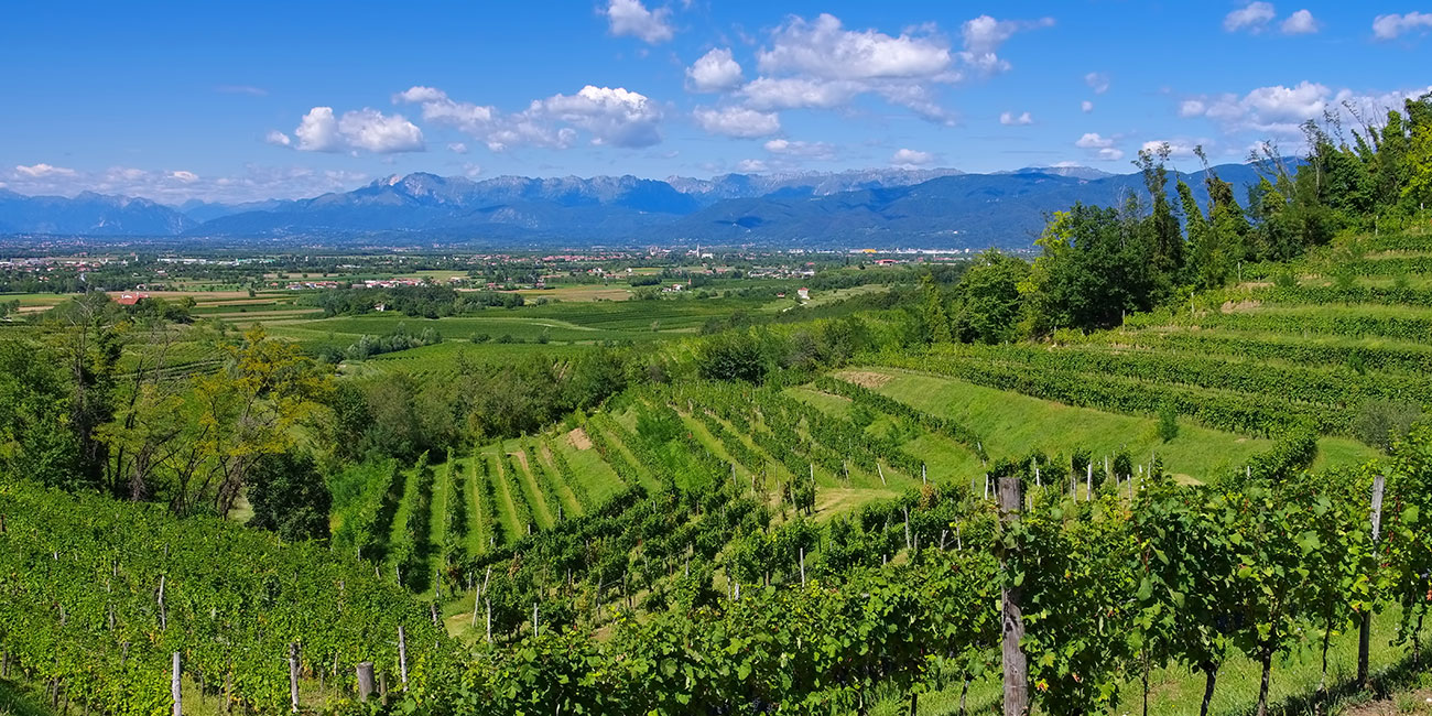 Wine Hunter - Weinregion Italien Friaul