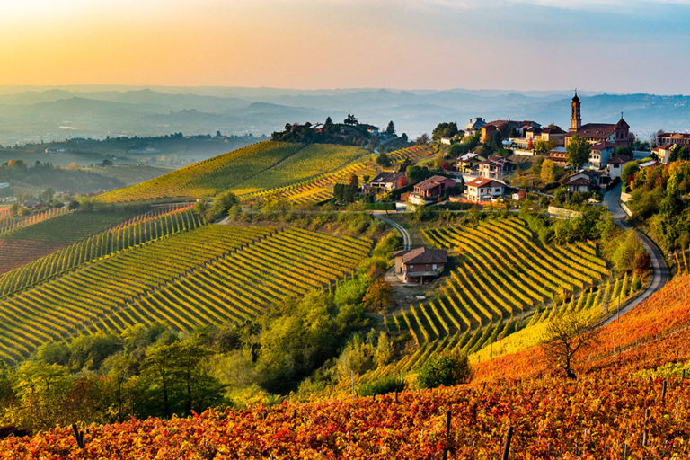 Wine Hunter - Weinregion Piemont