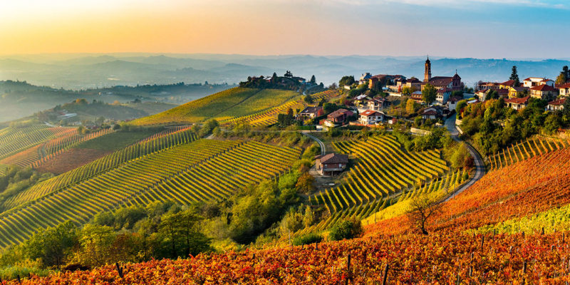 Wine Hunter - Weinregion Piemont