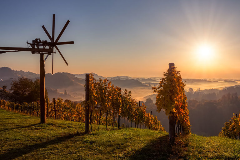 Wine Hunter - Weinregion Südsteiermark