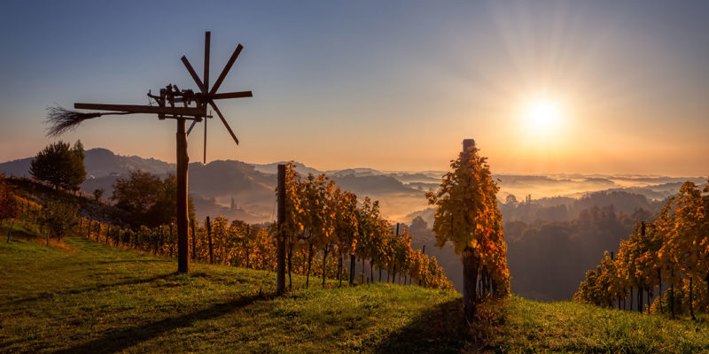 Wine Hunter – Weinregion Südsteiermark Wine Hunter - Weinregion Südsteiermark