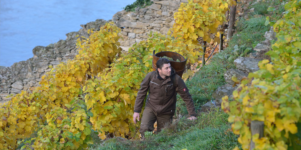 FJ Gritsch FJ Gritsch